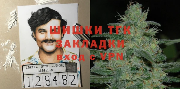 молекула духа Алексеевка