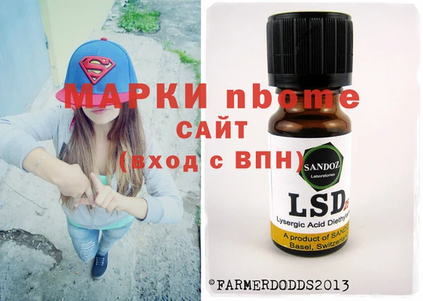 хмурый Алзамай