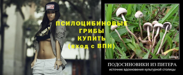 не бодяженный Нязепетровск
