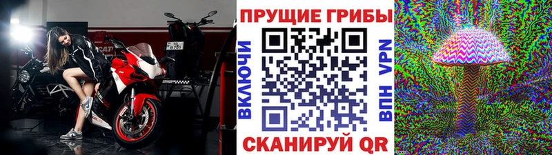 Галлюциногенные грибы Magic Shrooms  Алупка 